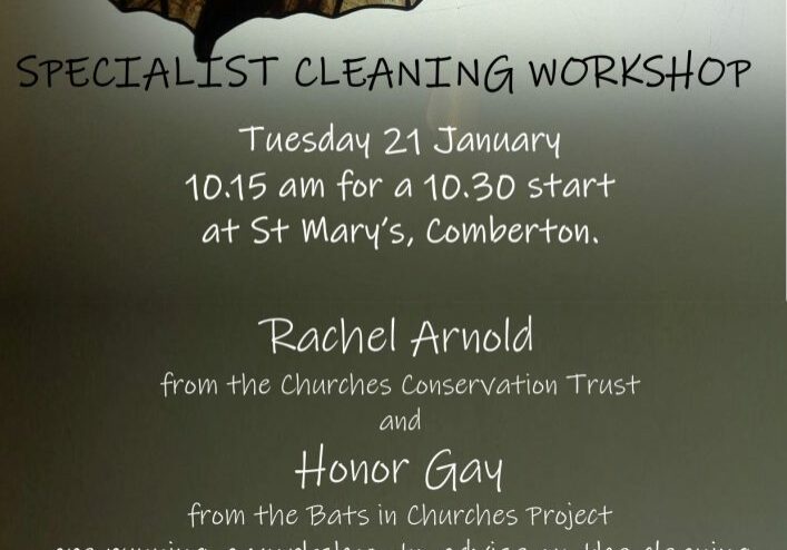 Cleaning Workshop- Comberton 2020 Cleaning Workshop- Comberton 2020