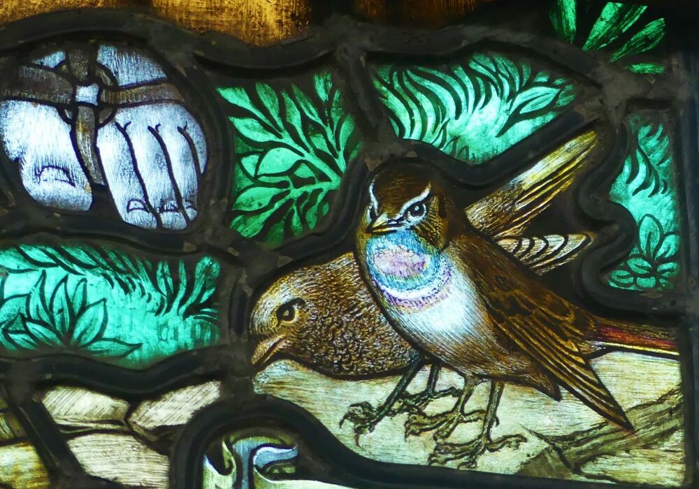 ChurchImages-Norfolk Cley Bluethroat A stained glass image of male and female Bluethroat birds