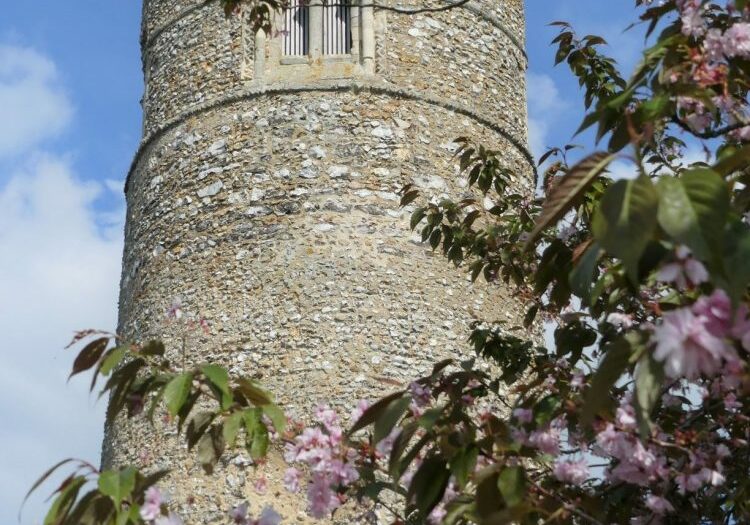 ChurchImages-Norfolk-Gayton Thorpe-Exterior The top of a round tower with a small window, the tower is surrounded by cherry blossom