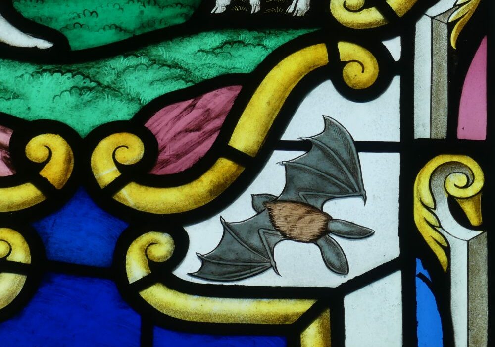 St Peter, Netherseal, Derbys. stained glass bat A stained glass window showing a brown long eared bat against clear glass surrounded by yellow scrolls