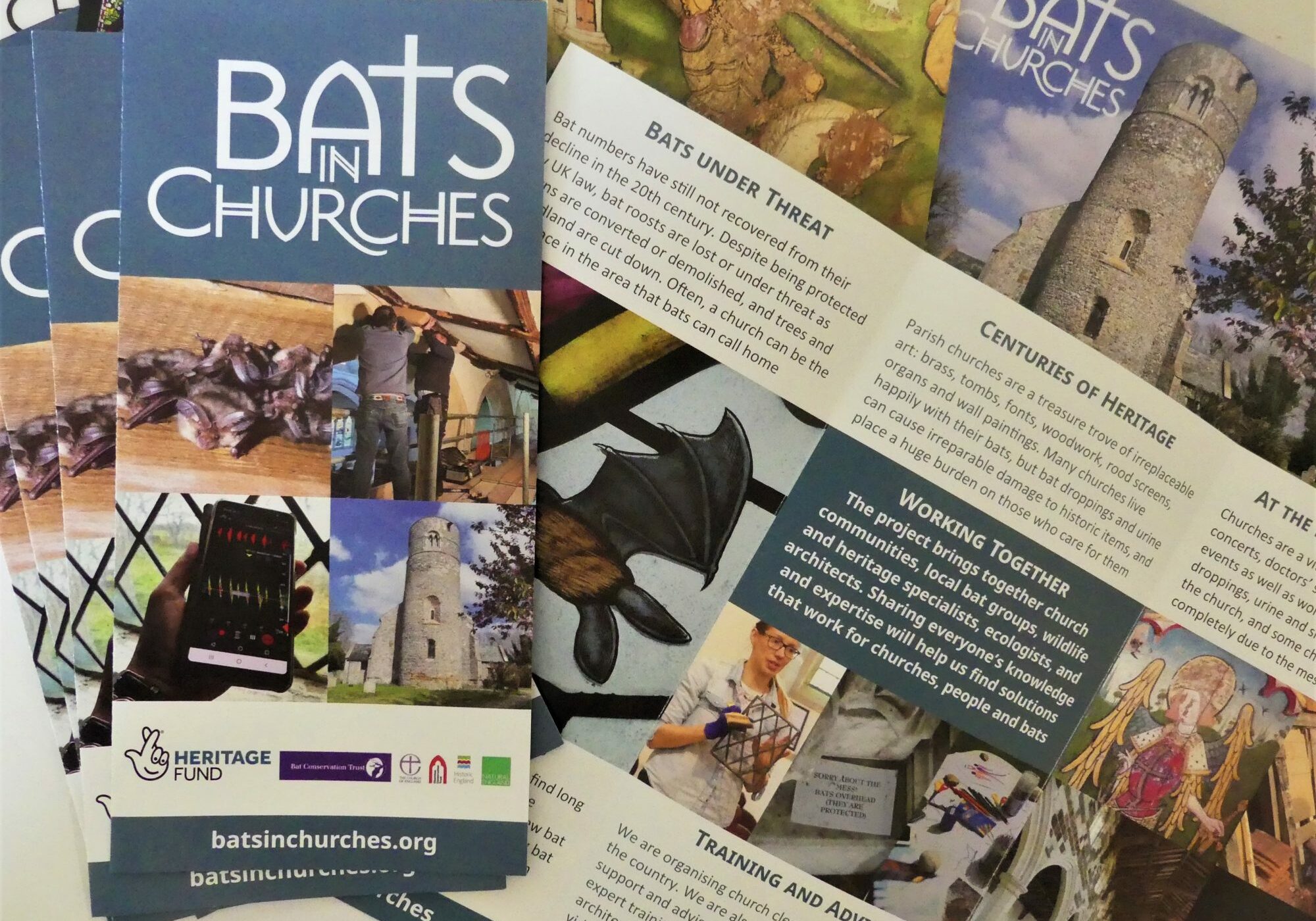 A selection of printed leaflets about bats in churches