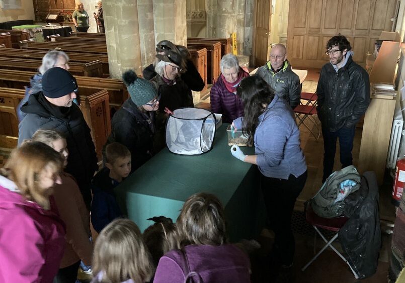 A group of people meeting Griff the educational bat at St Sampson's Church