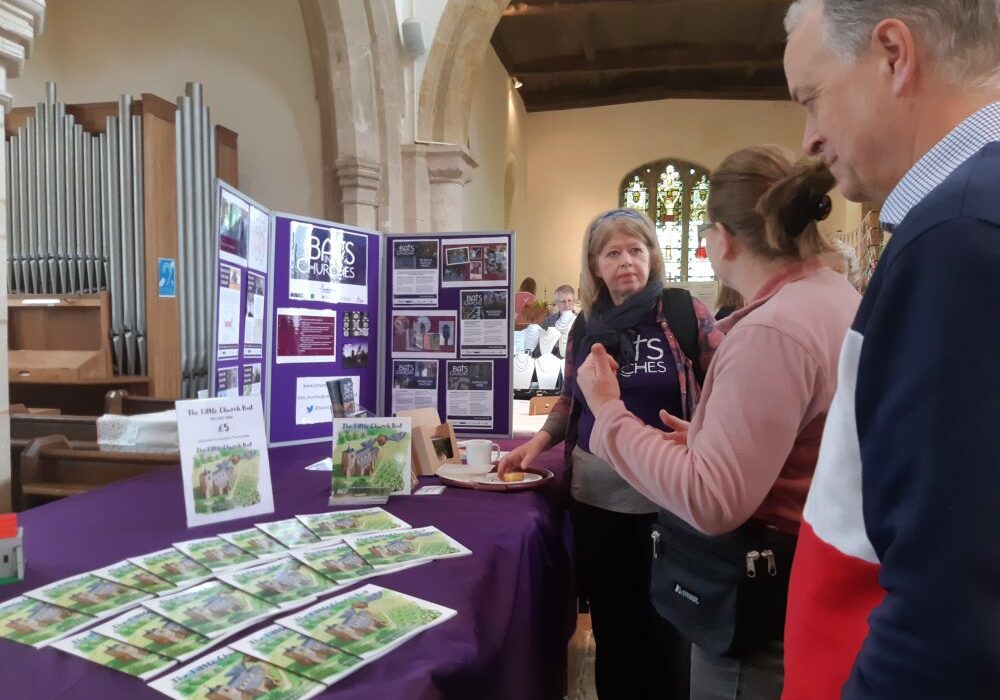 Bats in Churches engagement officer Rose at the Braunston May Fayre