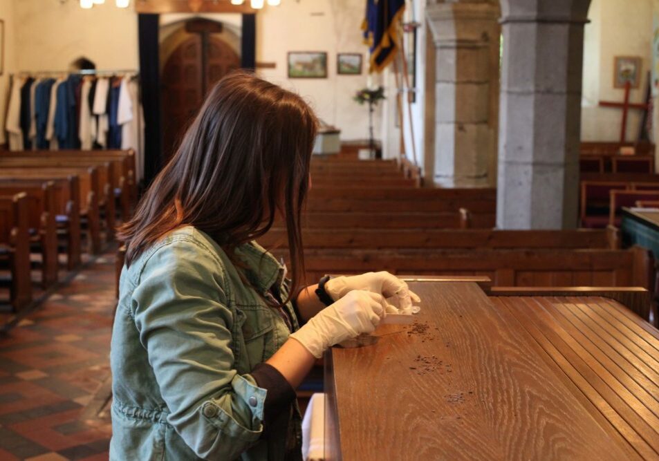 Claire Boothby taking part in the Bats in Churches volunteer survey by collecting droppings from a scatter on a wooden surface
